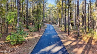 1774 Maynards Mill Rd, Forsyth, GA 31029 - photo 3