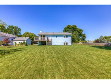 Large, well maintained yard
