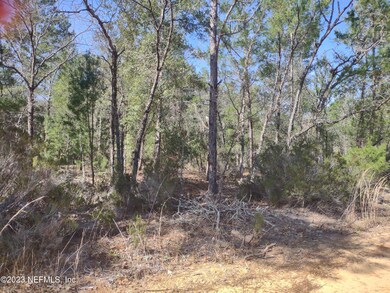 Lots facing Rose St 2