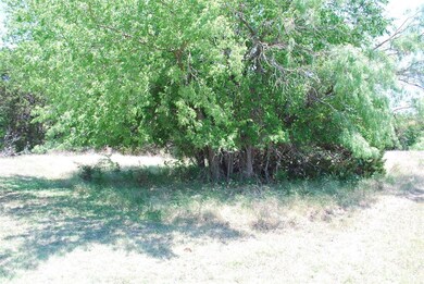 4073 Whitecrest Dr, Whitney, TX 76692 - photo 7