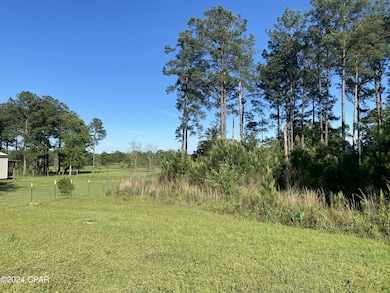 2341 Sweetgum Dr, Bonifay, FL 32425 - photo 2