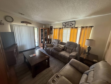 219 Las Palmas Blvd, North Fort Myers, FL 33903 - photo 5