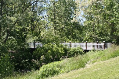 Bridge over the stream