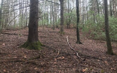 0 Satsuma Ct 672 673, Ellijay, GA 30540 - photo 2