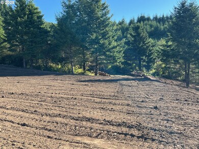 0 Harbor Hills Heights unit 654698490, Brookings, OR 97415 - photo 5