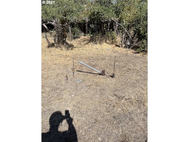 0 Washington St unit 2300, Canyon City, OR 97820 - photo 2