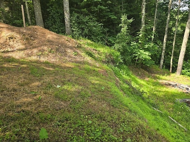 403 Summit St, Sophia, WV 25921 - photo 6