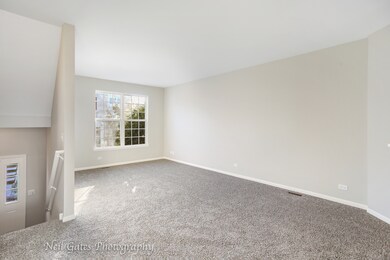 1915 Freedom Ct unit 393, Zion, IL 60099 - photo 4