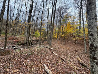 0 Pennsylvania 267, Choconut Township, PA 18818 - photo 7