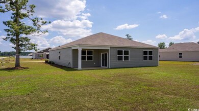 365 Harvest Ridge Way unit Lot 366- Aria B, Bucksport, SC 29527 - photo 4