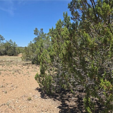 32220 W Conejo Rd, Seligman, AZ 86337 - photo 4