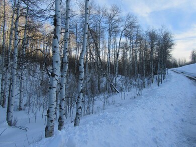 Vacant land for sale in CO borders Natio