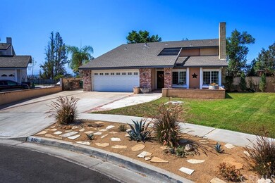 Huge low maintenance lot, requires little water.