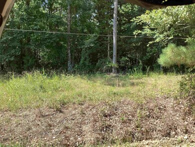 000 Hempstead 24 Rd, Blevins, AR 71825 - photo 7