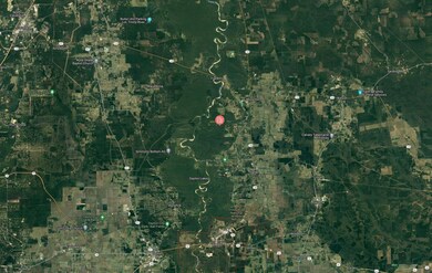 County Road 2506, Liberty, TX 77575 - photo 4