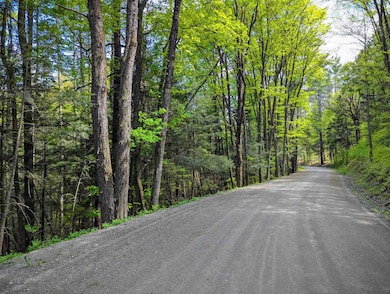 14 Brickyard Rd, Dover, VT 05341 - photo 7