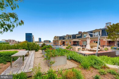 The Ritz-Carlton Residences, Baltimore, MD 21230 - photo 7