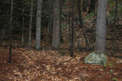 00 Wildwood Dr, Moultonborough, NH 03254 - photo 2