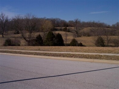 0 E Daisy Falls Dr unit 11302001, Nixa, MO 65714 - photo 5