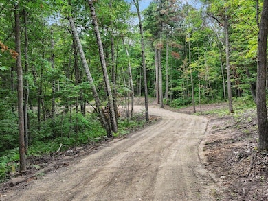 TBD SW Gull Ln, Fairview Township, MN 56468 - photo 2