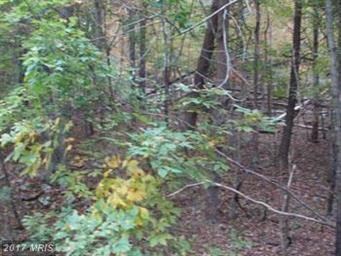 0 0 Oakland Hills, Berkeley Springs, WV 25411 - photo 4