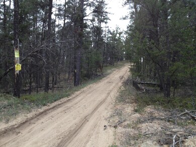 Wilderness Trail