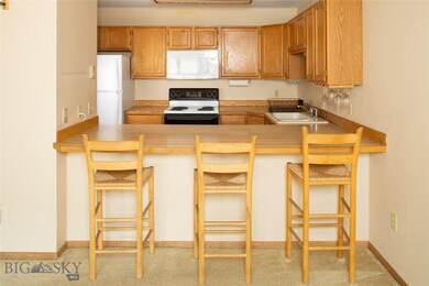 85 Spruce Cone unit 7, Big Sky, MT 59716 - photo 4