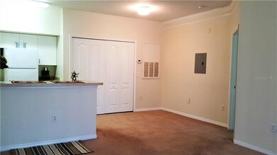 Dining area - Laundry room behind the closet doors