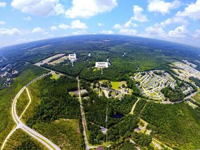 0 Wildhorse Dr unit 21.08 Acres, Conway, SC 29526 - photo 5