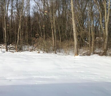 back_yard