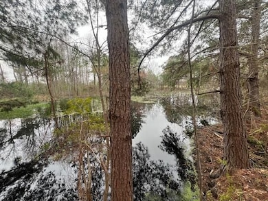 Jim Meeks Rd, Nicholls, GA 31554 - photo 4