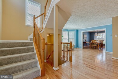 9236 Sewall Ave, Laurel, MD 20723 - photo 5