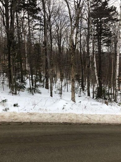 1 E Hill Rd, Andover, VT 05143 - photo 4