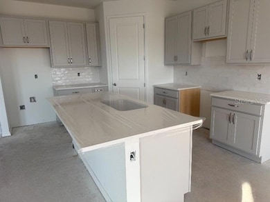 5255 Painted Bamboo St, St. Cloud, FL 34771 - photo 7