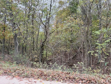 000 Spout Spring Rd, Fordland, MO 65652 - photo 6