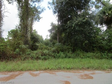 0 Access Undetermined unit 221065251, Lehigh Acres, FL 33974 - photo 7