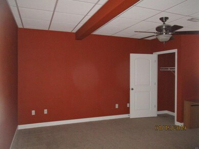 320 Torrington Ln, Freeburg, IL 62243 - photo 6