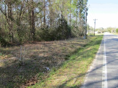 TBD Highway 19, Conway, SC 29526 - photo 4
