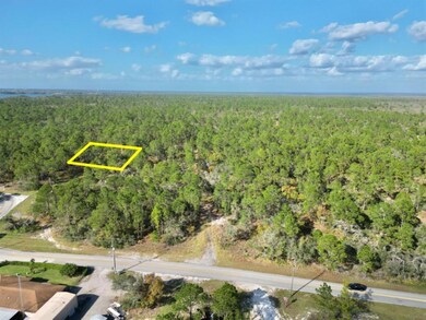 209 Sunnyside Dr, Lake Placid, FL 33852 - photo 3