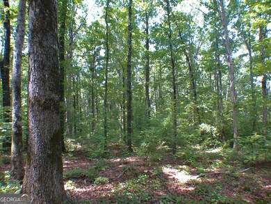 0 Mount Tabor Rd unit 10560482, Oxford, GA 30054 - photo 7