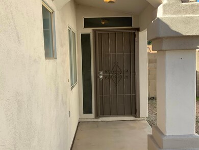 Security Door
