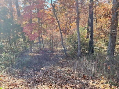 TBD Morvan Ln, Bella Vista, AR 72715 - photo 5