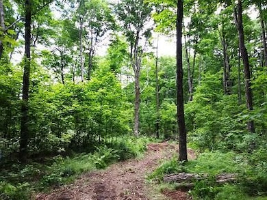 Tea Lake Rd, Crandon, WI 54520 - photo 2