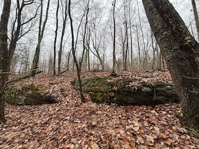 3699 Crockett Pointe, Jasper, TN 37347 - photo 7