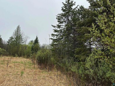 View of local wilderness