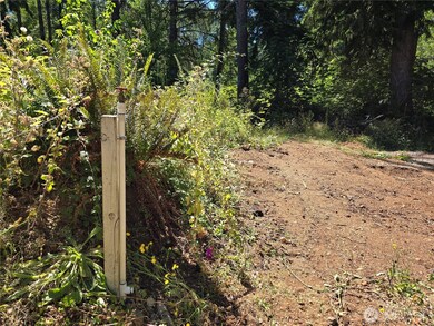 351 W Haven Dr, Matlock, WA 98541 - photo 5