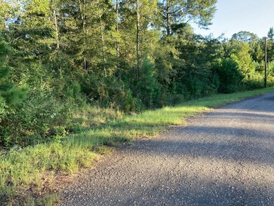 Lot #15 Chase Dr, McComb, MS 39648 - photo 6