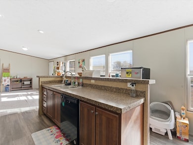 2722 Denver Rd, Sunset, TX 76270 - photo 4