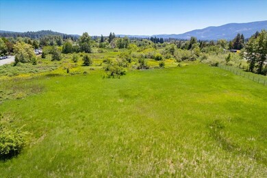 Parcel 1,2,3 Pine Field St, Mount Shasta, CA 96067 - photo 4
