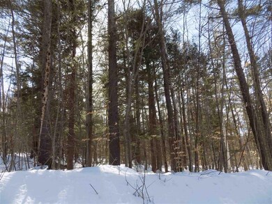 0 Stewart Rd unit 4848641, Eaton, NH 03832 - photo 4